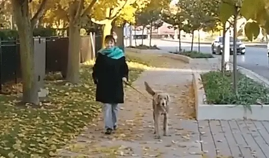 Dr. Gáspár Szabolcs térdsérülés után térdműtét végzett Emesén Kanadából